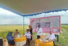 Mentan SYL Sukses Tingkatkan Produksi Padi Kabupaten Kebumen