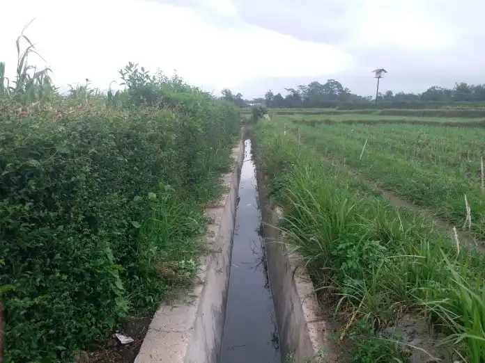 Banyak Kebocoran, Kementan Rehabilitasi Jaringan Irigasi Tersier di Blitar