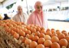 Harga Telur Peternak Dijaga, Bapanas dan Satgas Pangan Awasi Pembelian di Lapangan