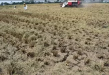 Siap-siap Hadapi El Nino, Kementan Gencarkan Sosialisasi AUTP