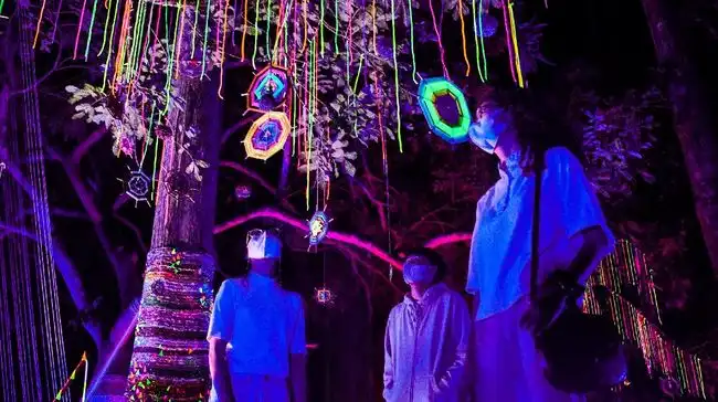 hutan-menyala-di-taman-hutan-raya-djuanda-bandung-5_169