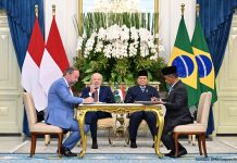 RI dan Brasil Jalin Kerja Sama Komprehensif di Bidang Energi Baru Terbarukan dan Mineral