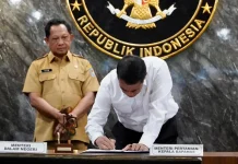 Pemerintah Bangun 100 Gudang Bulog, Solusi Perkuat Rantai Pasok Pangan Nasional
