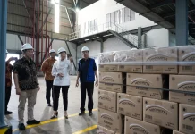 Pemerintah Perkuat Narasi Sawit Berkelanjutan Lewat Sertifikasi ISPO