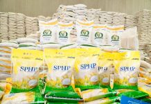 Harga Beras SPHP Dipastikan Tetap Meski Dolar Menguat, Pemerintah Jaga Daya Beli Rakyat
