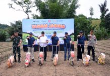 Pupuk Kaltim Perkuat Ketahanan Pangan dan Kesejahteraan Petani Lewat Agrosolution di Bone Bolango