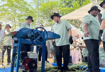 Transisi Energi Hijau, PLN IP Manfaatkan Biomassa Sorgum dari Petani Sukabumi