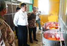 Harga Ayam Broiler Tertekan, Pemerintah Gandeng BGN dan PINSAR untuk Pulihkan Pasar