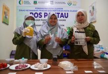 Bapanas Perkuat Pengawasan Pangan di Pasar Rakyat, Pos Pantau PAS AMAN Jadi Garda Terdepan
