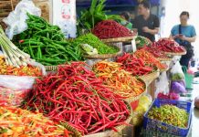Bapanas: Harga Cabai dan Bawang Merah Berfluktuasi, Petani Perlu Kesempatan Pulihkan Modal