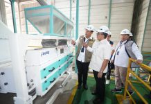 BULOG Raih 77 Persen Target Pengadaan Beras Nasional, BPK Apresiasi Tata Kelola dan Kinerja