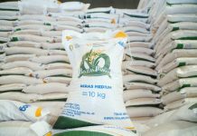 Stok Beras Melimpah, Pemerintah Sudah Salurkan 7,75 Juta Ton CBP sejak 2023