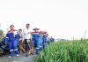 Pertamina Dorong Desa Energi Berdikari di Keliki, Gianyar Jadi Percontohan Energi Bersih Nasional