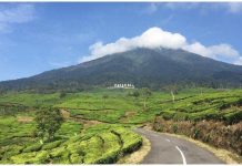 Pesona Wisata Kota Pagar Alam, Gunung Dempo hingga Air Terjun Lematang Jadi Favorit Wisatawan