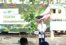 Dukung Lingkungan, KAI Tanam 25 Pohon Produktif dalam Rangkaian Porsenika 2026