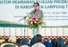 Lampung Jadi Sentra Hilirisasi Singkong Nasional, Kemenperin Dorong Produk MOCAF dan Tapioka