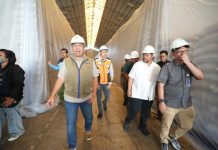 Respons Cepat BULOG Atasi Hama di Kawasan Pergudangan Karawang, Pengendalian Diperkuat