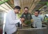 Keamanan Pangan Dimulai dari Kebun, Bapanas Apresiasi Penerapan GAP di PT Great Giant Pineapple