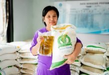 Bantuan Pangan Beras Mulai Disalurkan Agustus 2026, 33,24 Juta KPM Terima 30 Kg Sekaligus