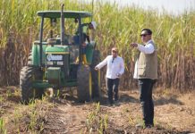 Presiden Prabowo Pimpin Panen Raya Serentak di 43 Titik, BULOG Pastikan Hasil Petani Terserap