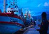 Bea Cukai dan DJP Luncurkan Kompas Raja Ampat, Dorong Kepatuhan Usaha Pariwisata