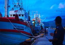 Bea Cukai dan DJP Luncurkan Kompas Raja Ampat, Dorong Kepatuhan Usaha Pariwisata