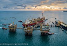 Kurangi Ketergantungan Impor, Pemerintah Fokuskan Gas Masela untuk Kebutuhan Dalam Negeri