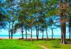 Pesona Wisata Kota Pariaman: Pantai Indah dan Pulau Eksotis