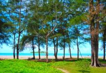 Pesona Wisata Kota Pariaman: Pantai Indah dan Pulau Eksotis