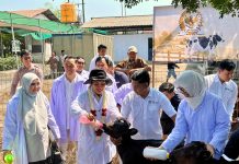 Dorong Kemandirian Susu Nasional, Kementan dan DPR RI Perkuat Ekosistem Peternak Sapi Perah