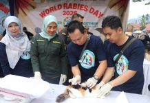 Cegah Rabies di Tanah Datar, Kementan dan Balai Veteriner Buka Layanan Vaksinasi Gratis di Batusangkar