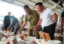 Beras Fortifikasi Ditarik, Bagaimana Kondisi Stok Beras Nasional? Ini Penjelasan Bapanas