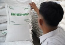 Program Bantuan Pangan Beras Tahap Kedua Tuntas, Bulog dan Bapanas Berhasil Redam Lonjakan Harga