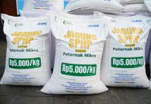 Tekan Beban Peternak Unggas, Bulog Percepat Distribusi SPHP Jagung Pakan Tambahan