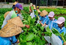 Liburan Sambil Belajar: 4 Rekomendasi Wisata Edukasi Anak yang Seru dan Mengedukasi