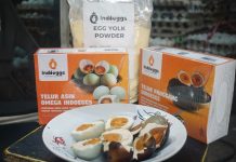 Inovasi Telur Asin IndoEggs: Dari Usaha Depan Rumah hingga Omzet Ratusan Juta