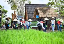 Kombinasi Panel Surya dan Mikrohidro Bangkitkan Pertanian Mandiri Energi di Subak Sembung